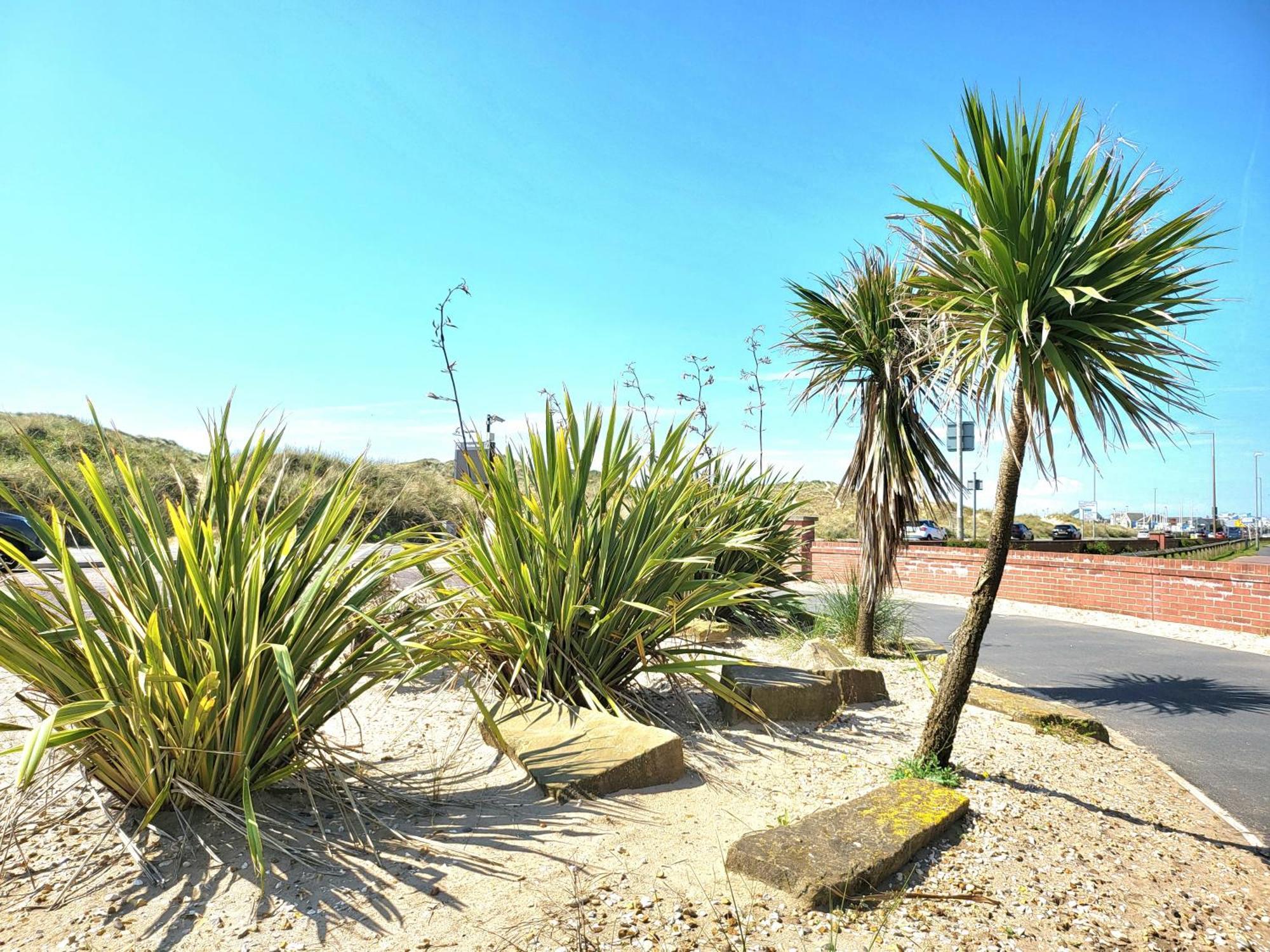Seaside Beach Themed Home With Garden And Driveway Lytham St Annes Esterno foto